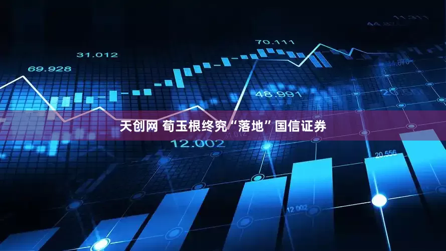 天创网 荀玉根终究“落地”国信证券