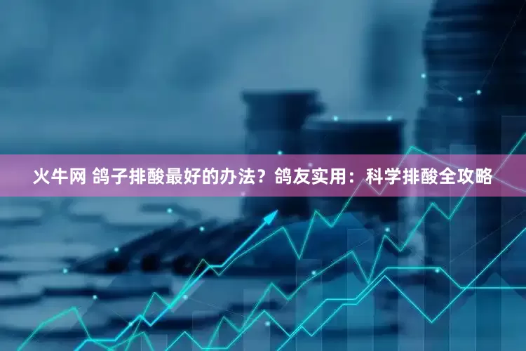 火牛网 鸽子排酸最好的办法？鸽友实用：科学排酸全攻略