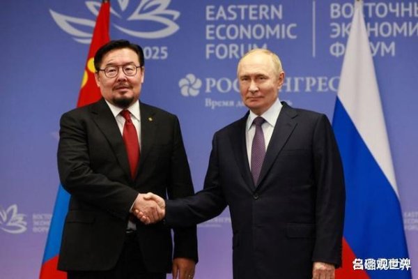 股民钱包 刚见完普京一面就被免职, 蒙总理又换人, 中俄天然气大项目悬了?